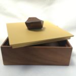 Caja Guanacaste